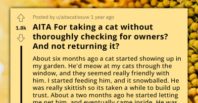 Redditor's Brave Rescue Of Neglected Cat Raises Moral Questions As The Owners Are Determined To Get It Back