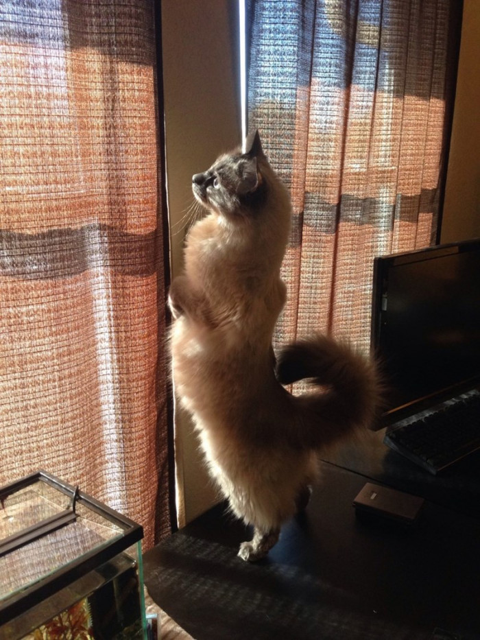 13. The sun is going down, and still no snacks for me