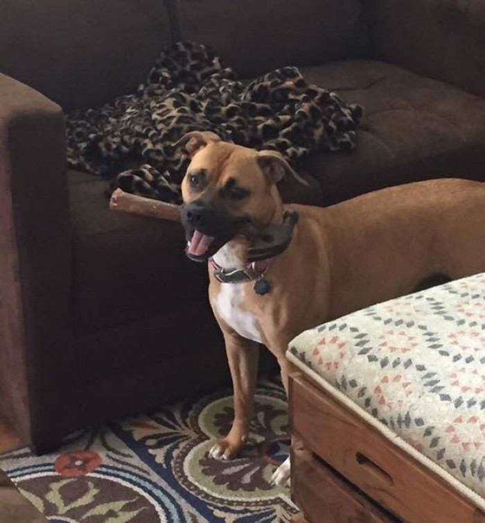 They're a special species, all right.