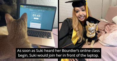 An Adorable Cat Graduates With Her Owner After Years Of Purrrfect Online Class Attendance