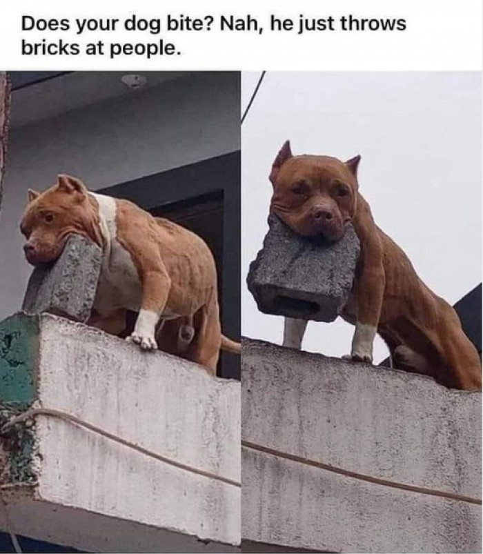 10. Because biting is outdated