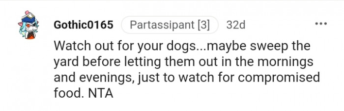 16. Sweep the yard before letting them out