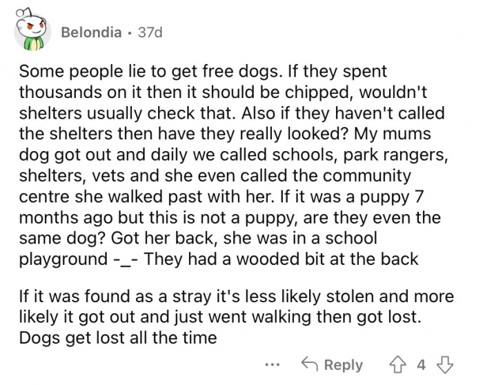 Where were they looking if not in shelters?
