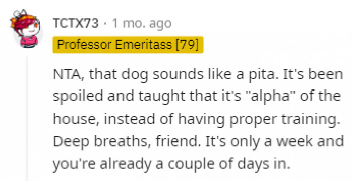 The dog thinks it's the boss in this house.