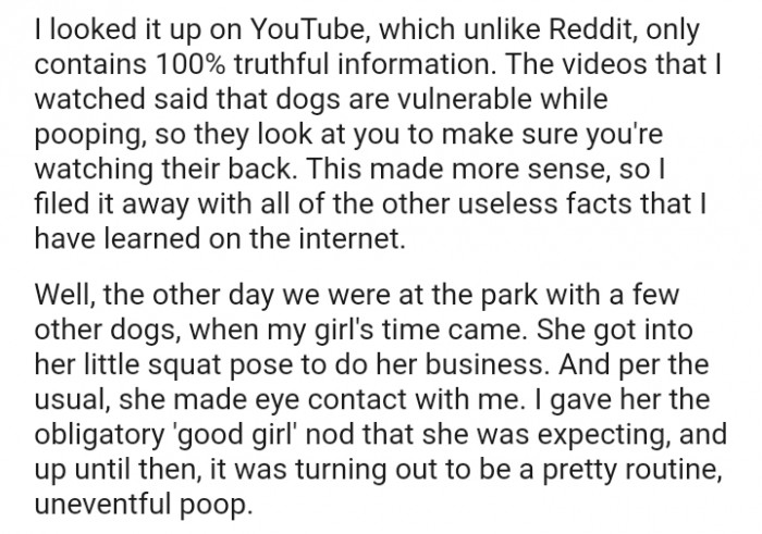 Dogs are vulnerable while pooping