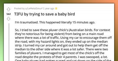 Redditor Shares How She Tried to Be a Hero and Reunite a Baby Bird with Its Mother, Only for It to Backfire with a Bee Waiting to Reward Her