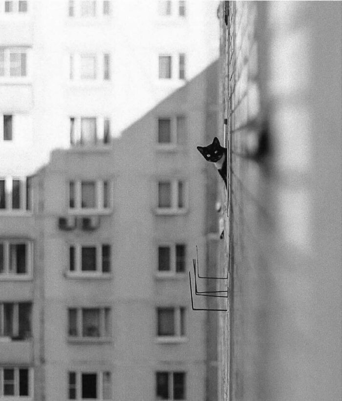 Photo By Vitaly Zimarin