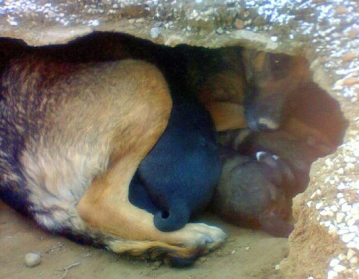 What began as a heartbreaking tragedy has undoubtedly resulted in a lovely little miracle