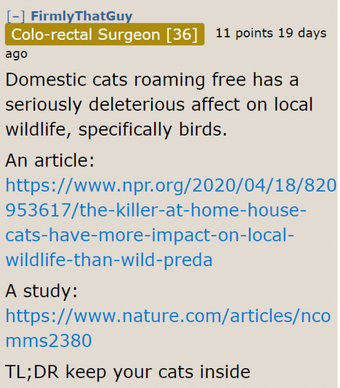 Cats outdoors are a risk to wildlife.