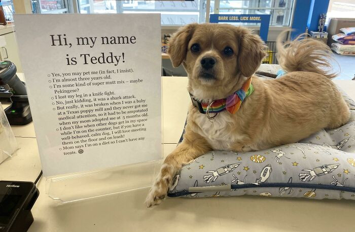 25. Teddy is this store's greeter.