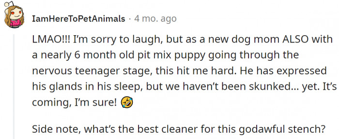 One dog mom expressed her sincere sympathizing for the situation: