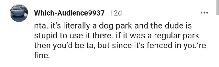 You're not the AH since you were in a fenced park