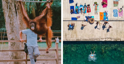 21 Unfiltered Shots That Capture the Power of Perfect Timing