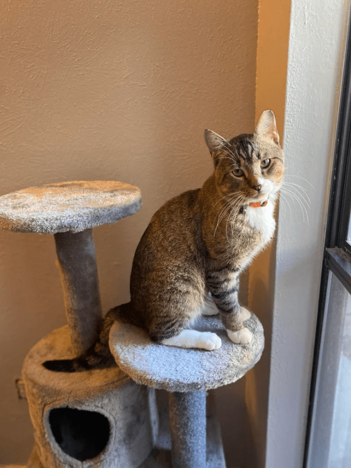 "My darling Finley..."