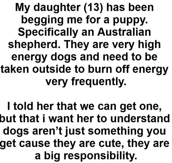 Before agreeing to get the dog, OP wants to ensure her daughter understands the commitment involved