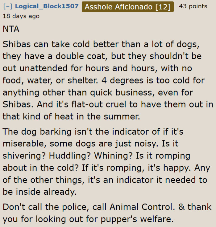 This is not the way to treat any kind of pet.