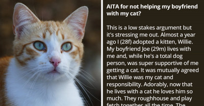 Redditor Refuses To Grant Her Boyfriend's Confusing Request Of Helping Their Cat Like Him More