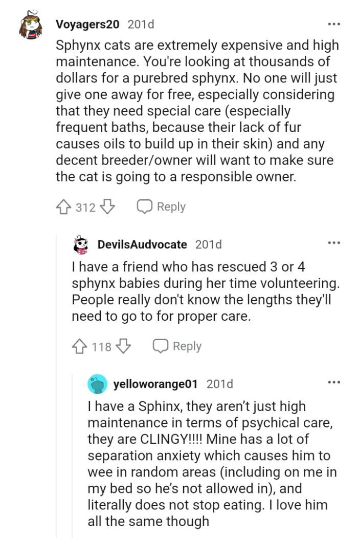 No one will give such a breed for free, especially since they require special care