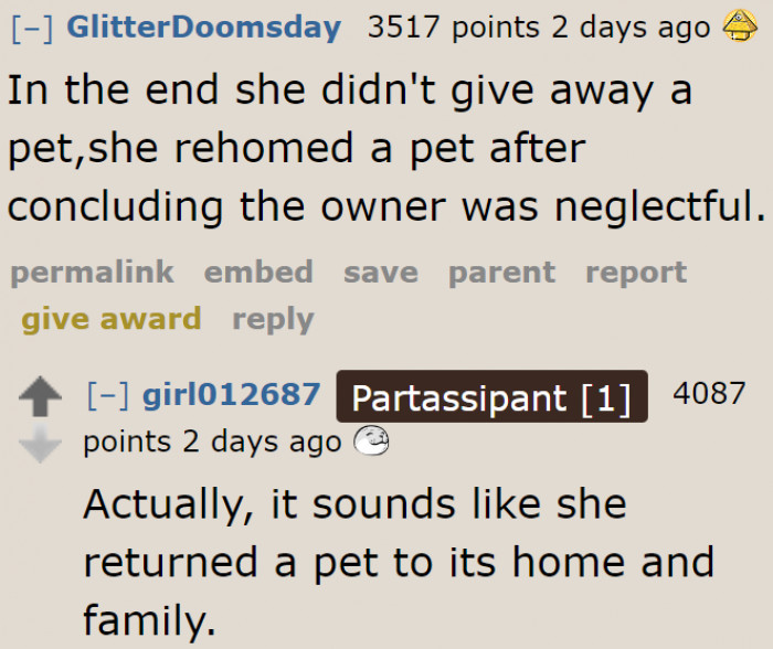 In the end, the Border Collie