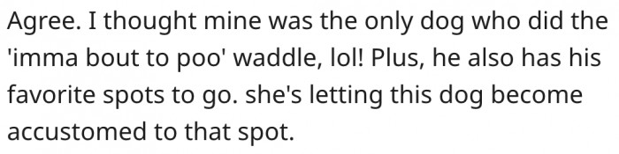 12. Her dog may get used to pooping on his flower bed.
