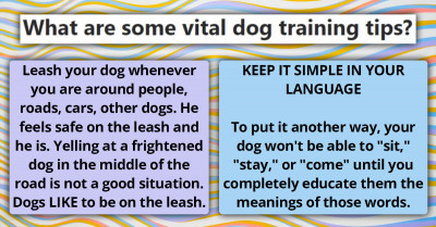 People Share Important Training Tips Drawn From Their Personal Experience