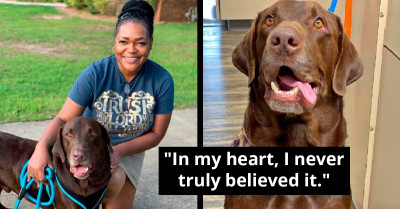 Lost Dog Finds His Mom After A Two-Year Separation