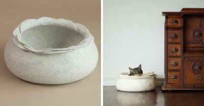 These Cute Cat Bed Caves Are Purrfect for the Felines Who Love Keeping Themselves Cozy in Tight Spaces