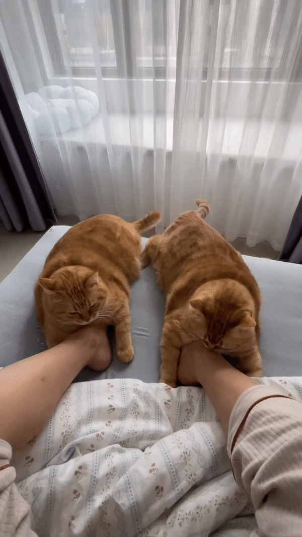 11. These little foot warmers are stealing hearts