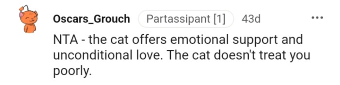 The Cat Doesn't Treat the OP Poorly