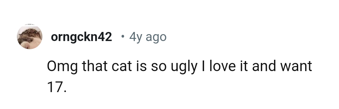 18. This Redditor wants 17 of that type of cat