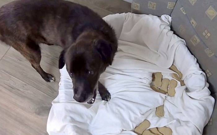 He was convinced that he was in the right place with the right people!