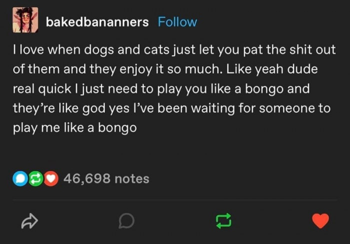 8. I just need to play you like a bongo