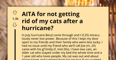 Woman Calls Host “Cruel” For Refusing To Lock Her Cats In A Car During A Hurricane