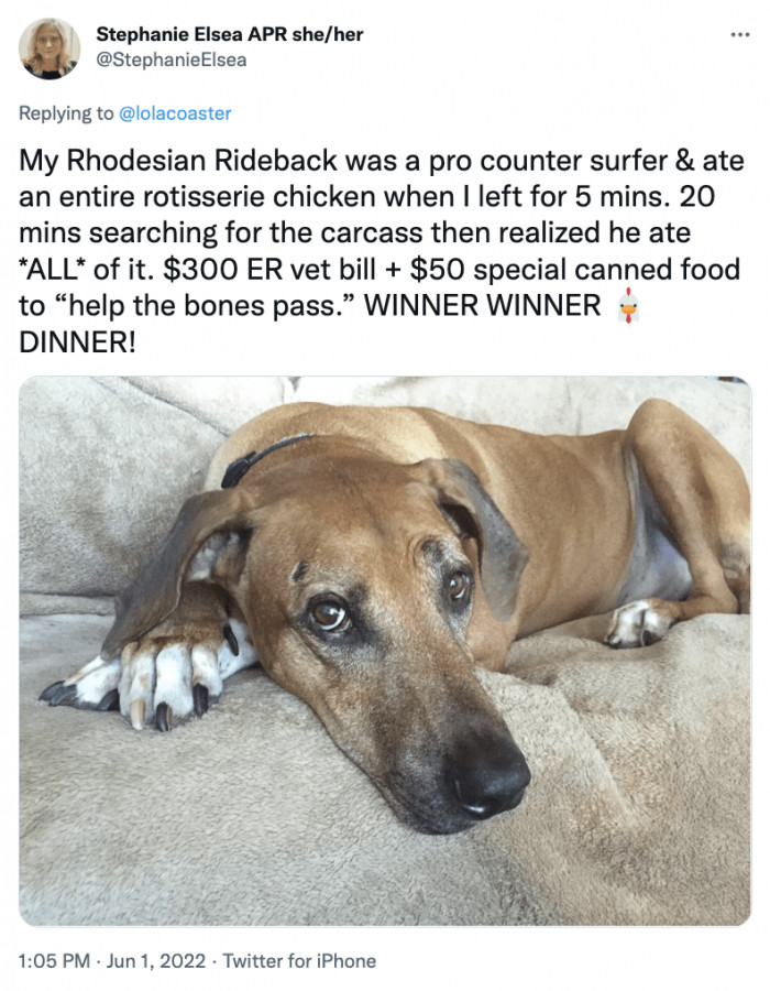 19. Winner Winner Dinner