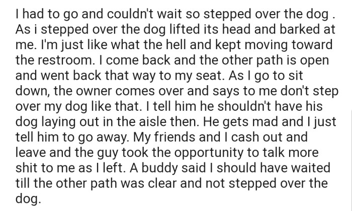 OP had no choice but to step over one of the dogs while going out to pee. However, when they came back, the owner of the dog confronted them, creating a scene in the process. In addition, one of OP's friends advised that they should have waited until the path was clear rather than step over the dog. The question is, what's the significance of stepping over a dog?