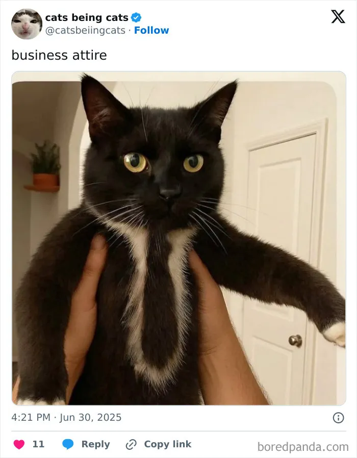 50. Dressed for success, fired for knocking over the coffee mug.