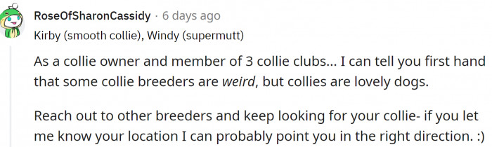 Redditors say that some collie breeders are... a bit peculiar.