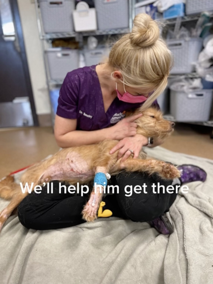 It's a good thing Dr. Bewley is right beside him