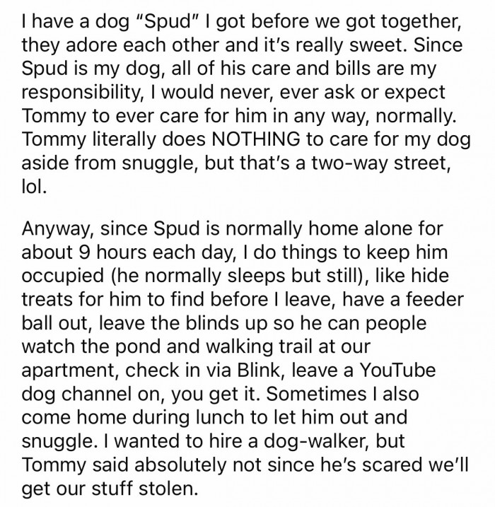 #3 OP described how she provided all of her dog's needs without asking for anything from her partner.