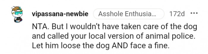 4. Let him loose the dog