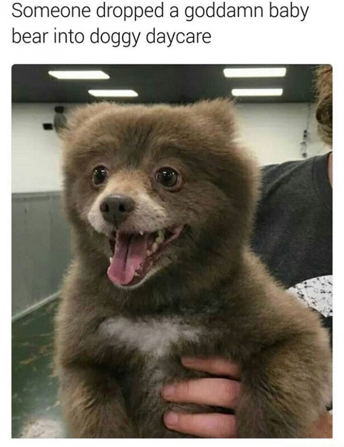 4. That is one really cute baby bear