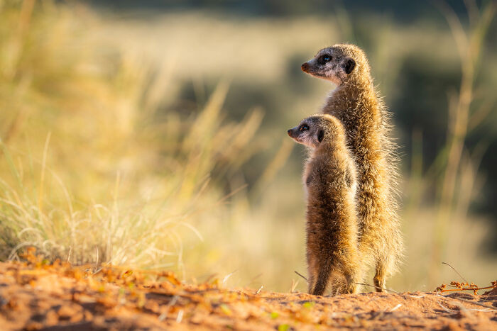"Double The Vigilance!"