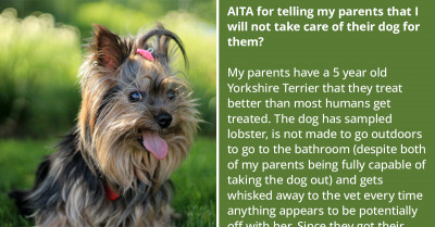 Silent Treatment Follows After Redditor Refused To Take Care Of Parents' Dog For The Long Weekend