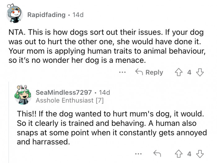 "This is how dos sort out their issues."