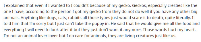Apparently, geckos can't handle big animals because it might cause the gecko to be scared to death. The more you know.