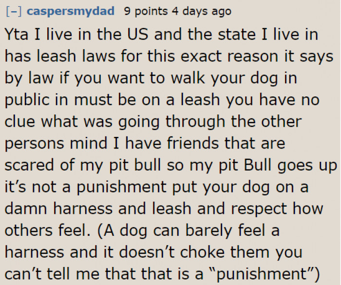 Leashing Dogs Is Not a Form of Punishment.