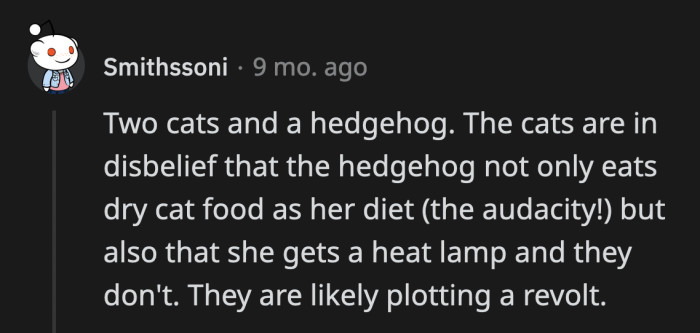 18. What's a cat got to do to get a heat lamp?