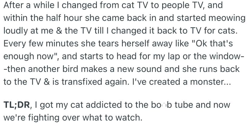 OP realized tuning the TV to cat stations kept her car happy. However, she noticed that when he changed the channel, her cat would seek attention until the channel was changed.