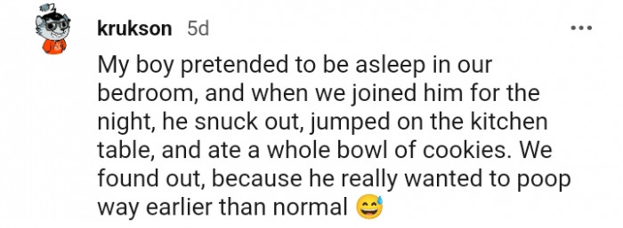 13. This dog ate a whole bowl of cookies