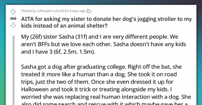 Mother of Three Resents Her Sister's Dog for Years, Then Asks Her to Donate Its Stroller a Day After the Dog Passed Away